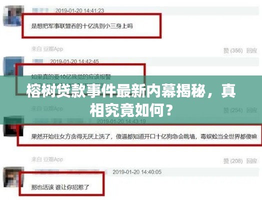 榕樹貸款事件最新內幕揭秘，真相究竟如何？
