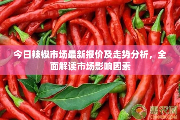 今日辣椒市場最新報價及走勢分析，全面解讀市場影響因素