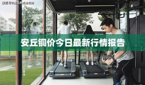安丘銅價今日最新行情報告