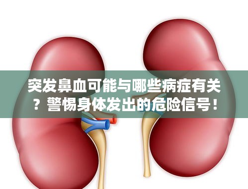 突發鼻血可能與哪些病癥有關？警惕身體發出的危險信號！