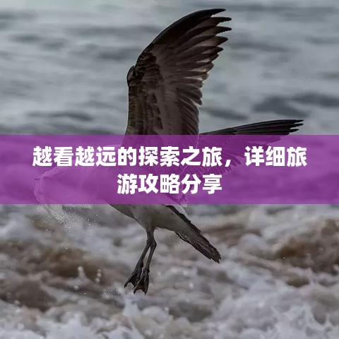 越看越遠的探索之旅，詳細旅游攻略分享