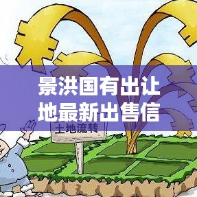 景洪國有出讓地最新出售信息概覽