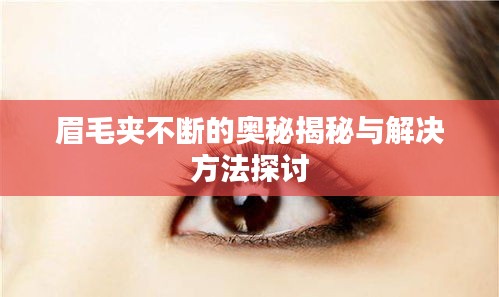 眉毛夾不斷的奧秘揭秘與解決方法探討