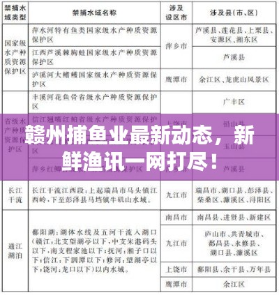 贛州捕魚業最新動態，新鮮漁訊一網打盡！