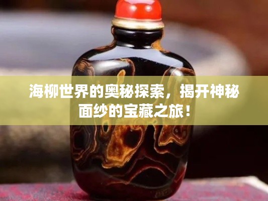 海柳世界的奧秘探索，揭開神秘面紗的寶藏之旅！