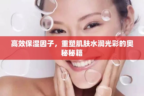高效保濕因子，重塑肌膚水潤(rùn)光彩的奧秘秘籍