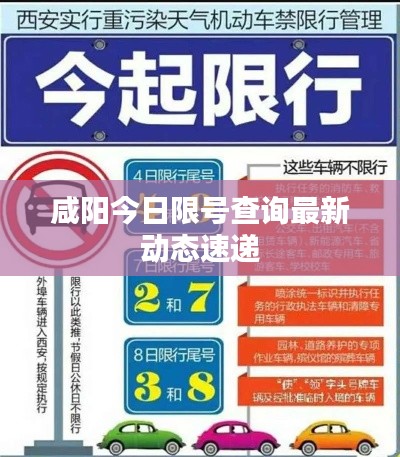 咸陽今日限號查詢最新動態(tài)速遞