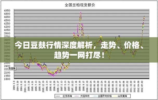 今日豆麩行情深度解析，走勢、價格、趨勢一網(wǎng)打盡！