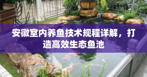 安徽室內養魚技術規程詳解，打造高效生態魚池