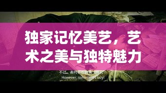 獨家記憶美藝，藝術之美與獨特魅力的完美交融探索