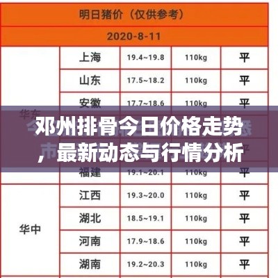 鄧州排骨今日價格走勢，最新動態與行情分析