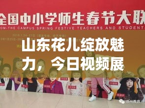 山東花兒綻放魅力，今日視頻展現全新風采
