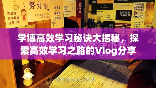 學博高效學習秘訣大揭秘，探索高效學習之路的Vlog分享