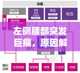 左側(cè)腰部突發(fā)巨痛，原因解析、診斷流程與治療方案
