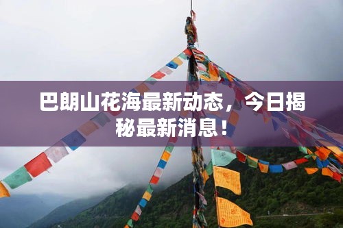 巴朗山花海最新動態，今日揭秘最新消息！