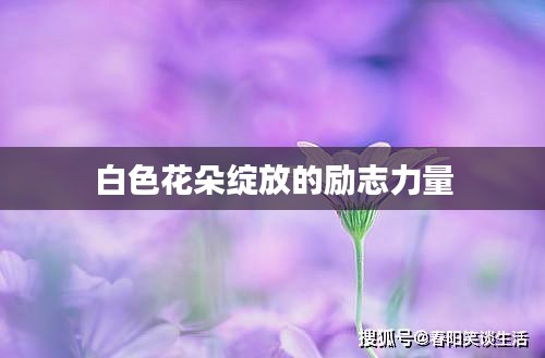 白色花朵綻放的勵(lì)志力量