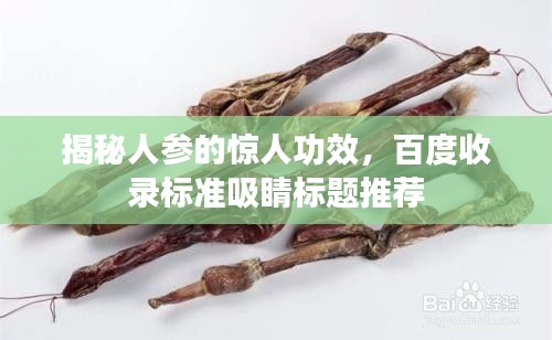 揭秘人參的驚人功效，百度收錄標(biāo)準(zhǔn)吸睛標(biāo)題推薦