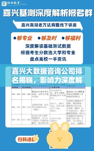 嘉興大數據咨詢公司排名揭曉，影響力深度解析