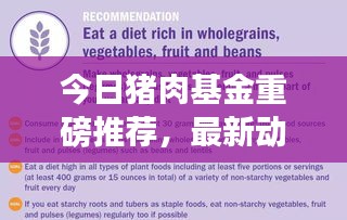 今日豬肉基金重磅推薦，最新動態、策略分析與盈利潛力探討