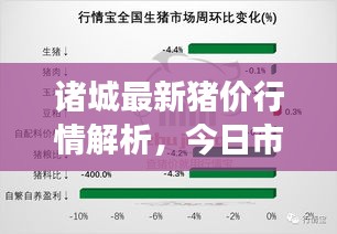 諸城最新豬價行情解析，今日市場走勢分析
