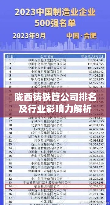 隴西鑄鐵管公司排名及行業(yè)影響力解析