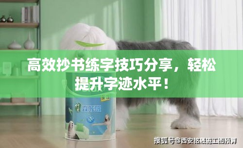 高效抄書練字技巧分享，輕松提升字跡水平！