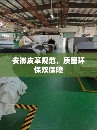 安徽皮革規(guī)范，質量環(huán)保雙保障