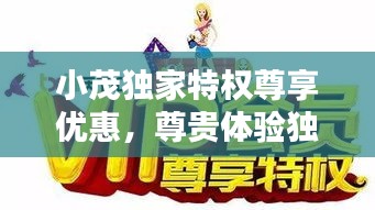 小茂獨(dú)家特權(quán)尊享優(yōu)惠，尊貴體驗(yàn)獨(dú)家呈現(xiàn)