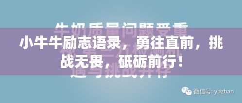小牛牛勵志語錄，勇往直前，挑戰無畏，砥礪前行！