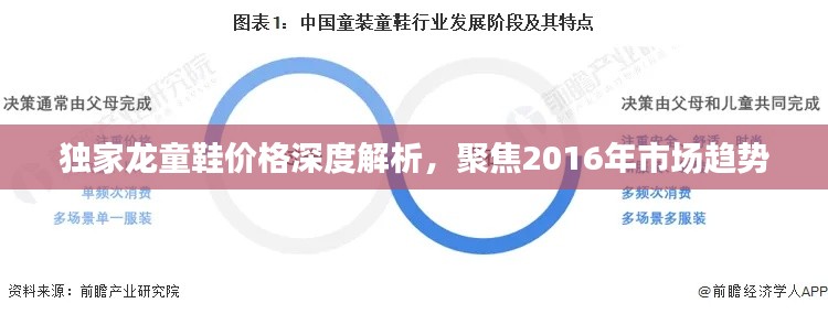 獨家龍童鞋價格深度解析，聚焦2016年市場趨勢