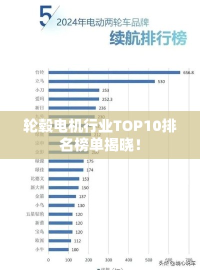 輪轂電機行業(yè)TOP10排名榜單揭曉！