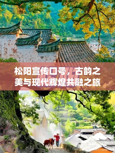 松陽宣傳口號，古韻之美與現代輝煌共融之旅