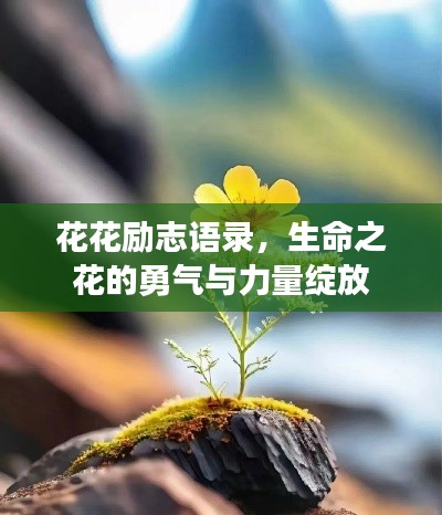 花花勵志語錄，生命之花的勇氣與力量綻放