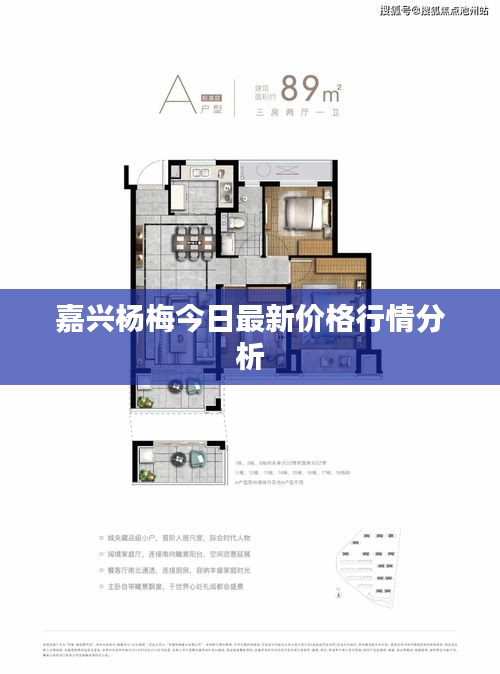 嘉興楊梅今日最新價(jià)格行情分析