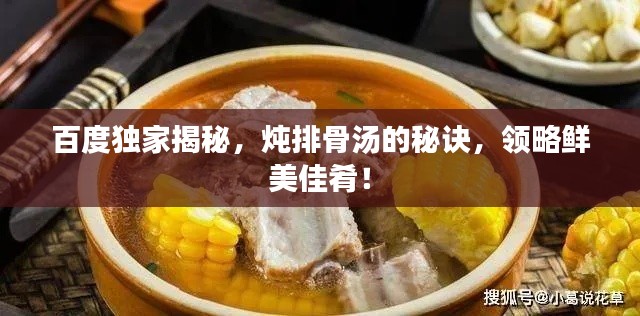 百度獨家揭秘，燉排骨湯的秘訣，領略鮮美佳肴！