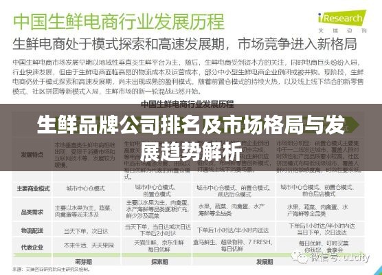 生鮮品牌公司排名及市場(chǎng)格局與發(fā)展趨勢(shì)解析