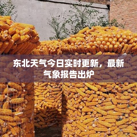 東北天氣今日實時更新，最新氣象報告出爐