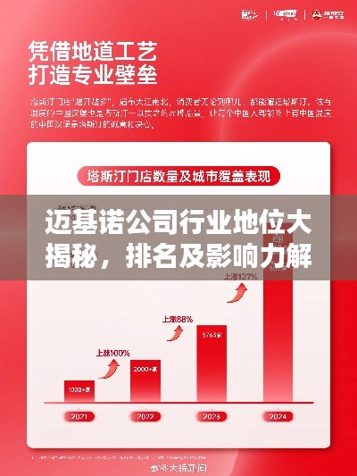 邁基諾公司行業地位大揭秘，排名及影響力解析