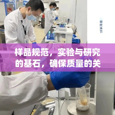 樣品規(guī)范，實驗與研究的基石，確保質(zhì)量的關鍵所在