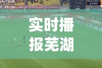 實時播報蕪湖今日頭條新聞直播，掌握城市最新動態