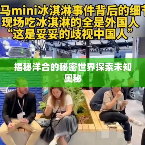 揭秘洋合的秘密世界探索未知奧秘