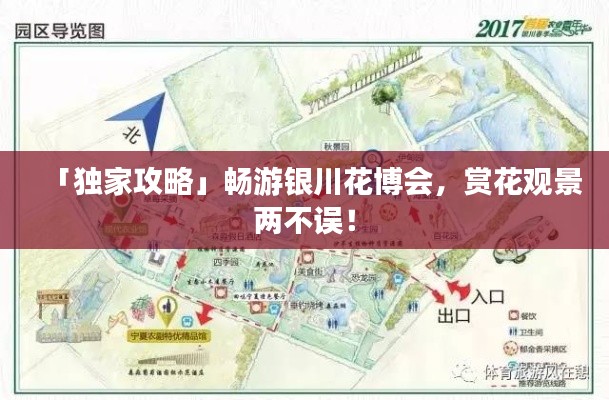 「獨(dú)家攻略」暢游銀川花博會(huì)，賞花觀景兩不誤！
