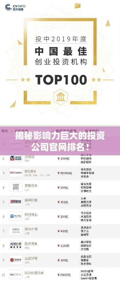 揭秘影響力巨大的投資公司官網排名！