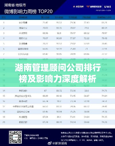 湖南管理顧問(wèn)公司排行榜及影響力深度解析
