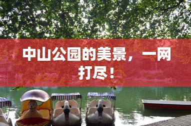 中山公園的美景，一網(wǎng)打盡！