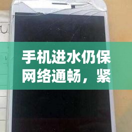手機進水仍保網絡通暢，緊急處理指南！