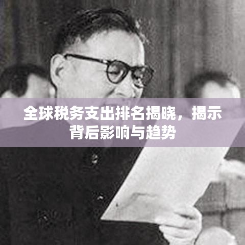 全球稅務(wù)支出排名揭曉，揭示背后影響與趨勢