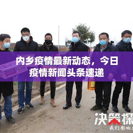 內鄉疫情最新動態，今日疫情新聞頭條速遞