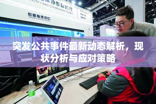 突發公共事件最新動態解析，現狀分析與應對策略