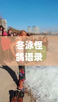 冬泳怪鴿語錄，挑戰極限，擁抱生活的力量，勵志心靈雞湯！